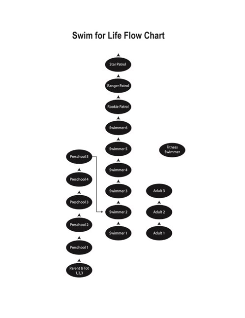 Swim for Life Flow Chart